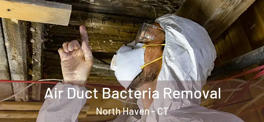  Air Duct Bacteria Removal North Haven - CT