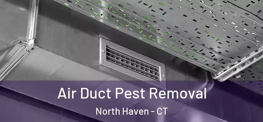 Air Duct Pest Removal North Haven - CT
