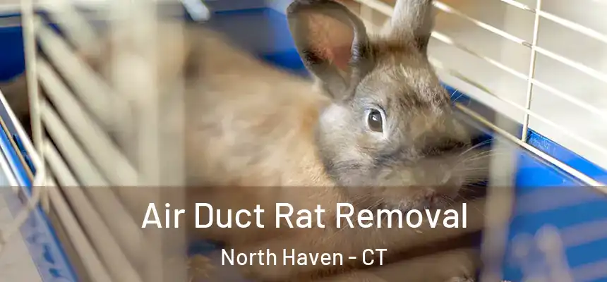  Air Duct Rat Removal North Haven - CT