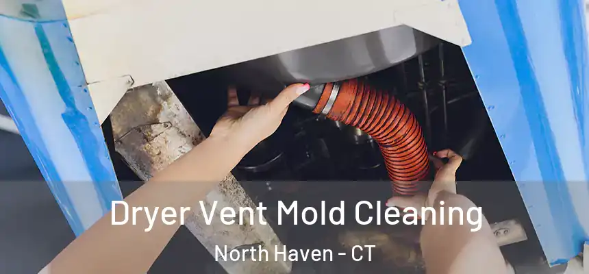  Dryer Vent Mold Cleaning North Haven - CT