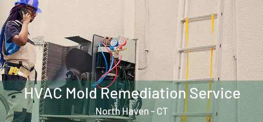  HVAC Mold Remediation Service North Haven - CT