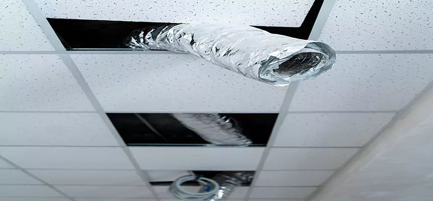 Affordable HVAC Sanitizing After Pest Removal in North Haven