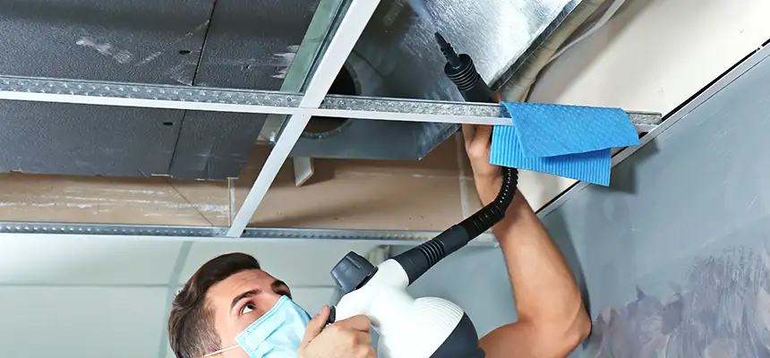 Our Air Duct Rodent Removal Services in North Haven, CT