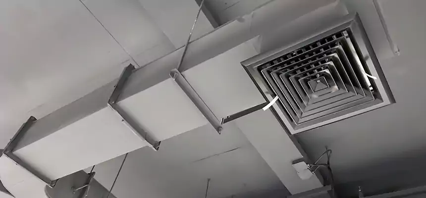 Restorative Allergy Relief Vent Cleaning – Coil, Blower & Housing Detail in North Haven