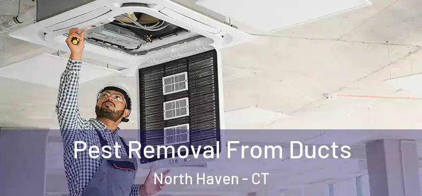 Pest Removal From Ducts North Haven - CT