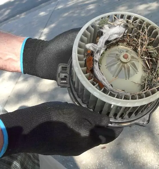 About Air Duct Mice Removal in North Haven, CT