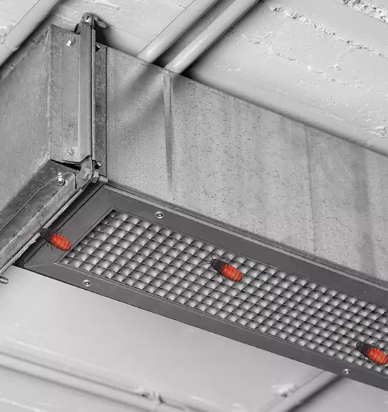 Affordable Insect Removal from Air Ducts in North Haven, CT