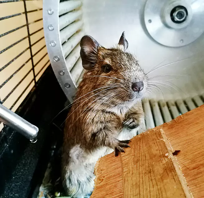 Why Homeowners & Businesses Trust Us North Haven, CT?